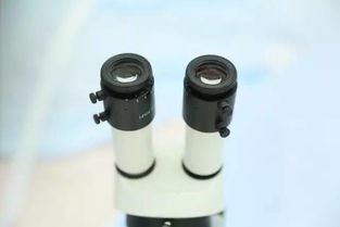 9月新疆，您不得不知的五大看點與保健器械建議